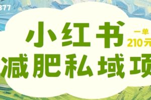 【2024.09.09】小红书减肥粉，私域变现项目，一单就达210元，小白也能轻松上手百度网盘免费下载-芽米宝库