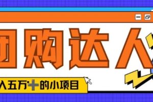 【2024.09.08】单日销售额50000+的小项目——抖音团购达人百度网盘免费下载-芽米宝库