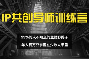 【2024.09.08】IP共创导师训练营 99%的人不知道的生财野路子 只掌握在少数人手里百度网盘免费下载-芽米宝库