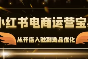 【2024.09.08】小红书电商运营宝典：从开店入驻到选品优化，一站式解决你的电商难题百度网盘免费下载-芽米宝库