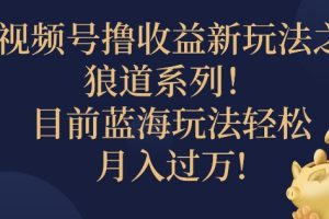 【2024.09.07】视频号暴力撸收益新玩法之狼道系列，目前蓝海玩法轻松月入过万百度网盘免费下载-芽米宝库