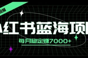 【2024.09.06】小红书蓝海项目，零门槛、高回报，每月稳定赚7000+百度网盘免费下载-芽米宝库