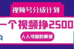 【2024.09.06】视频号分成计划，一个视频挣2500+，人人可做的赛道百度网盘免费下载-芽米宝库