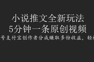 【2024.09.05】小说推文全新玩法，5分钟一条原创视频，结合视频号支付宝创作者分成赚取多份收益，轻松月入1W+百度网盘免费下载-芽米宝库
