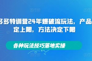 【2024.09.05】拼多多特训营24年爆破流玩法，产品决定上限，方法决定下限，各种玩法技巧落地实操百度网盘免费下载-芽米宝库