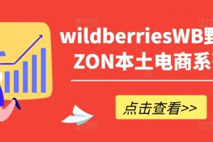 【2024.09.04】wildberriesWB野莓/OZON本土电商系列课，掌握WB产品优化，出单技巧和订单处理等百度网盘免费下载-芽米宝库