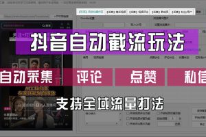 【2024.09.03】抖音自动截流玩法，利用一个软件自动采集、评论、点赞、私信，全域引流百度网盘免费下载-芽米宝库