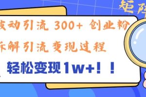 【2024.09.02】单日被动引流 300+ 创业粉，轻松变现1w+，矩阵操作详细拆解引流变现过程百度网盘免费下载-芽米宝库