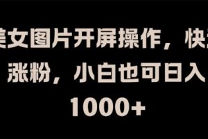 【2024.09.02】美女图片开屏操作，快速涨粉，小白也可日入1k百度网盘免费下载-芽米宝库