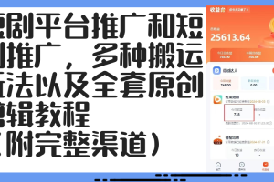 【2024.09.01】短剧平台推广和短剧推广，多种搬运玩法以及全套原创剪辑教程（附完整渠道）百度网盘免费下载-芽米宝库