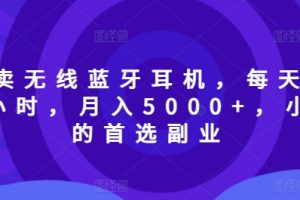 【2024.09.01】靠卖无线蓝牙耳机，每天两个小时，月入5000+，小白的首选副业百度网盘免费下载-芽米宝库