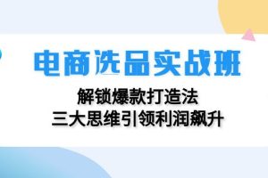 【2024.09.01】电商选品实战班：解锁爆款打造法，三大思维引领利润飙升百度网盘免费下载-芽米宝库