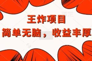 【2024.08.31】王炸福利项目，兼职全职都可做，操作无脑简单百度网盘免费下载-芽米宝库