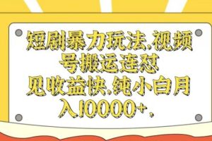 【2024.08.31】短剧暴力玩法，视频号搬运连怼，见收益快，纯小白月入1w百度网盘免费下载-芽米宝库