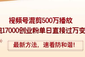【2024.08.31】精华帖视频号混剪500万播放引流17000创业粉，单日直接过万变现，最新方法百度网盘免费下载-芽米宝库