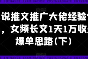 【2024.08.30】小说推文推广大佬经验分享，女频长文1天1万收益爆单思路(下)百度网盘免费下载-芽米宝库