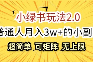 【2024.08.30】小绿书玩法2.0，超简单，普通人月入3w+的小副业，可批量放大百度网盘免费下载-芽米宝库
