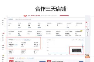 【2024.08.29】拼多多0成本开店，只合作不卖课不收费，0成本尝试，日赚千元+百度网盘免费下载-芽米宝库