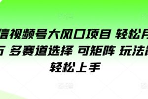 【2024.08.27】微信视频号大风口项目 轻松月入过万 多赛道选择 可矩阵 玩法简单轻松上手百度网盘免费下载-芽米宝库