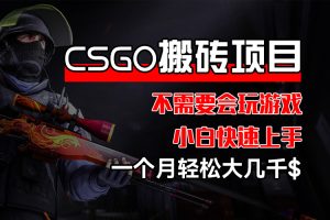 【2024.08.27】CSGO 装备搬砖项目，操作简单，不需要会玩游戏，小白也能快速上手，一个月轻松大几千美元百度网盘免费下载-芽米宝库