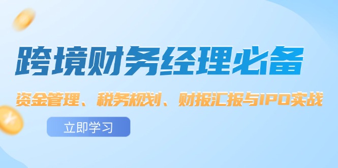 图片[1]-【2024.08.27】跨境财务经理必备：资金管理、税务规划、财报汇报与IPO实战百度网盘免费下载-芽米宝库