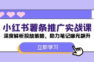 【2024.08.25】小红书薯条推广实战课：深度解析投放策略，助力笔记曝光飙升百度网盘免费下载-芽米宝库