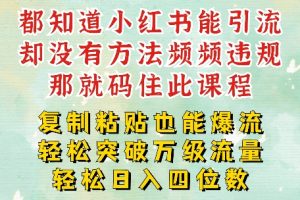 【2024.08.25】小红书靠复制粘贴一周突破万级流量池干货，以减肥为例，每天稳定引流变现四位数百度网盘免费下载-芽米宝库