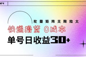【2024.08.24】快递撸货 0成本 单号日收益30+ 批量矩阵可无限放大百度网盘免费下载-芽米宝库