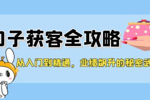 【2024.08.22】从入门到精通，钩子获客全攻略，业绩飙升的秘密武器百度网盘免费下载-芽米宝库