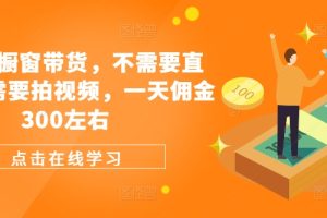 【2024.08.21】视频号橱窗带货，不需要直播，不需要拍视频，一天佣金300左右百度网盘免费下载-芽米宝库