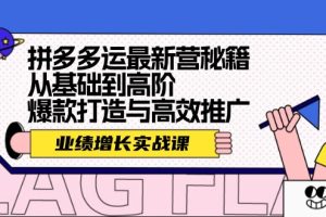 【2024.08.23】拼多多运最新营秘籍：业绩 增长实战课，从基础到高阶，爆款打造与高效推广百度网盘免费下载-芽米宝库