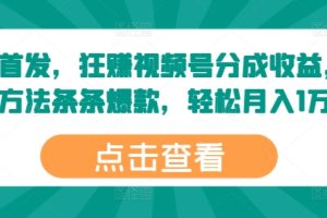 【2024.08.20】全网首发，狂赚视频号分成收益，掌握方法条条爆款，轻松月入1万+百度网盘免费下载-芽米宝库