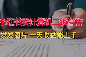 【2024.08.20】小红书卖计算机二级合集，发发图片 一天收益能上千百度网盘免费下载-芽米宝库