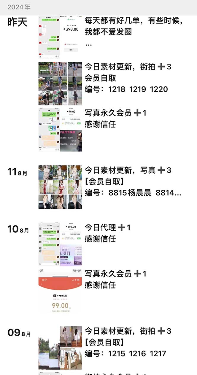 图片[2]-【2024.08.20】写真套图项目：抄作业可以获利的项目。招代理，招会员，无限裂变变现百度网盘免费下载-芽米宝库