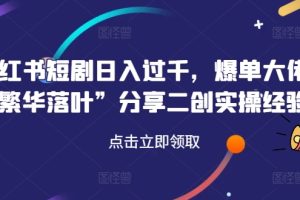 【2024.08.20】小红书短剧日入过千，爆单大佬“繁华落叶”分享二创实操经验百度网盘免费下载-芽米宝库