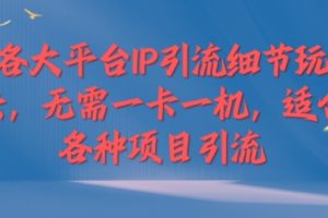 【2024.08.20】各大平台IP引流细节玩法，无需一卡一机，适合各种项目引流百度网盘免费下载-芽米宝库