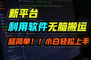 【2024.08.19】B站平台用软件无脑搬运，月赚10000+，小白也能轻松上手百度网盘免费下载-芽米宝库