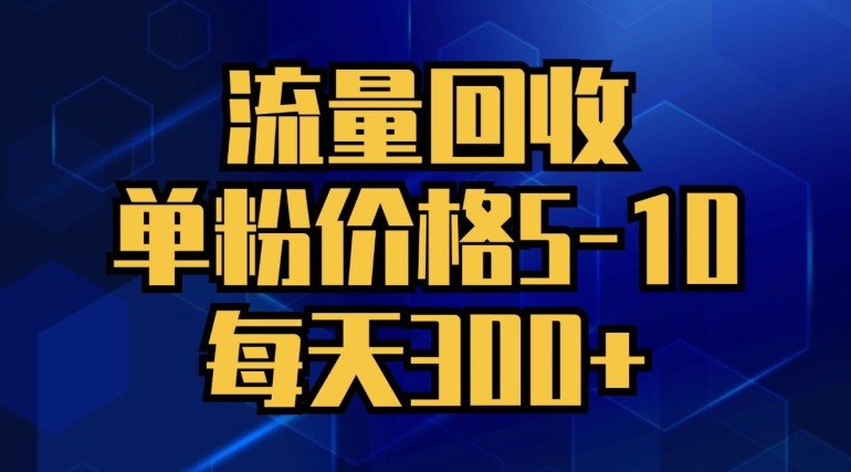 图片[1]-【2024.08.19】流量回收，单粉价格5-10，每天300+，轻松月入五位数百度网盘免费下载-芽米宝库
