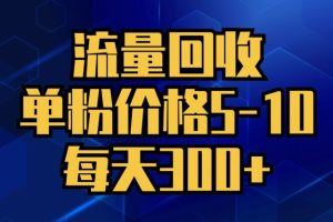 【2024.08.19】流量回收，单粉价格5-10，每天300+，轻松月入五位数百度网盘免费下载-芽米宝库
