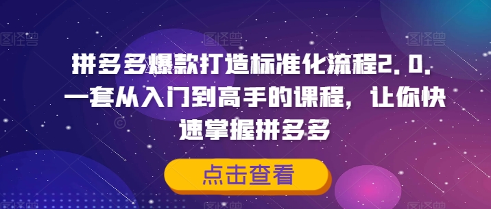 图片[1]-【2024.08.19】拼多多爆款打造标准化流程2.0，一套从入门到高手的课程，让你快速掌握拼多多百度网盘免费下载-芽米宝库