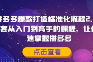 【2024.08.19】拼多多爆款打造标准化流程2.0，一套从入门到高手的课程，让你快速掌握拼多多百度网盘免费下载-芽米宝库