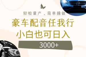 【2024.08.19】不为人知的暴力小项目，豪车配音，日入3000+百度网盘免费下载-芽米宝库