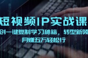 【2024.08.18】短视频 IP实战课，独创一键复制学习秘籍，转战新领域，月赚五万轻松行百度网盘免费下载-芽米宝库