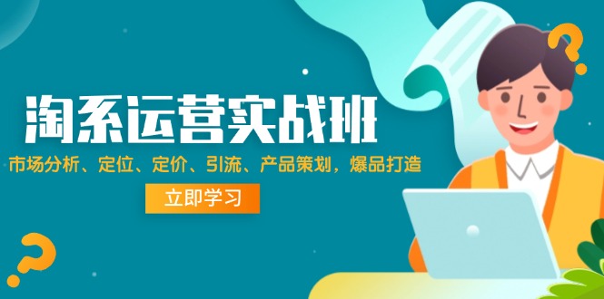 图片[1]-【2024.08.18】淘系运营实战班：市场分析、定位、定价、引流、产品策划，爆品打造百度网盘免费下载-芽米宝库