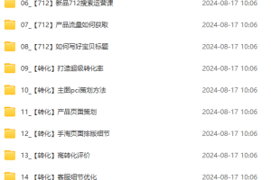 【2024.08.18】淘系运营实战班：市场分析、定位、定价、引流、产品策划，爆品打造百度网盘免费下载-芽米宝库