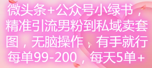 图片[1]-【2024.08.17】微头条+公众号小绿书，精准引流男粉到私域卖套图，无脑操作，有手就行，每单99-200，每天5单百度网盘免费下载-芽米宝库