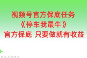 【2024.08.17】视频号官方保底任务，停车我最牛，官方保底只要做就有收益百度网盘免费下载-芽米宝库