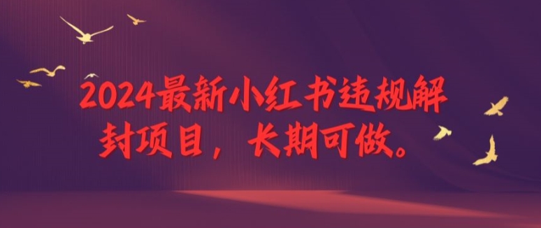 图片[1]-【2024.08.16】2024最新小红书违规解封项目，长期可做，一个可以做到退休的项目百度网盘免费下载-芽米宝库