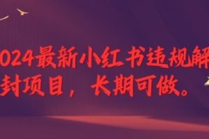 【2024.08.16】2024最新小红书违规解封项目，长期可做，一个可以做到退休的项目百度网盘免费下载-芽米宝库