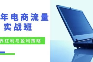 【2024.08.17】24年电商流量实战班：无界 红利与盈利策略，终极提升/关键词优化/精准人群拓展/创新玩法百度网盘免费下载-芽米宝库